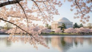 best places to visit in washington dc area